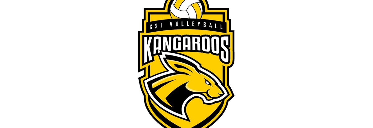 Volleyball: Tryouts